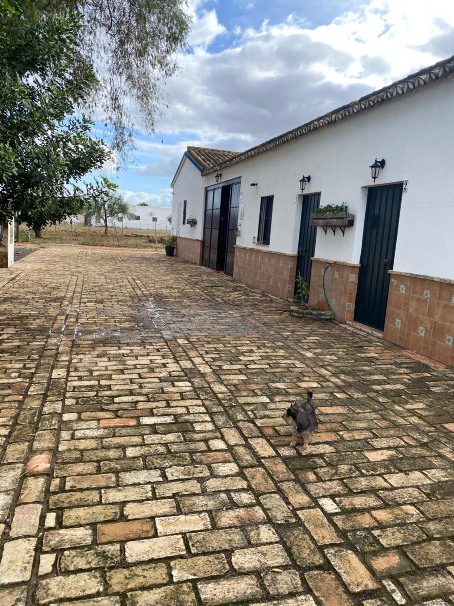 Casa Los Laureles Pilas Exterior foto